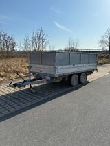 Böckmann DK3718 - Böckmann Tier-/Pferdetransport