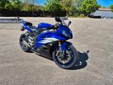 Yamaha YZF R6 RJ11 - YAMAHA 2006 YZF R1