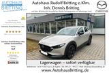 Mazda CX-30 SKYACTIV 2,5L 140PS 6AG Nagisa Navi - Mazda CX-30 mit Benzin-Antrieb: Nagisa
