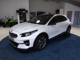 Kia XCeed Platinum Edition - gebrauchte Kia Limousine