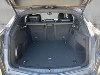 Alfa Romeo Stelvio - Vorschau Bild 8