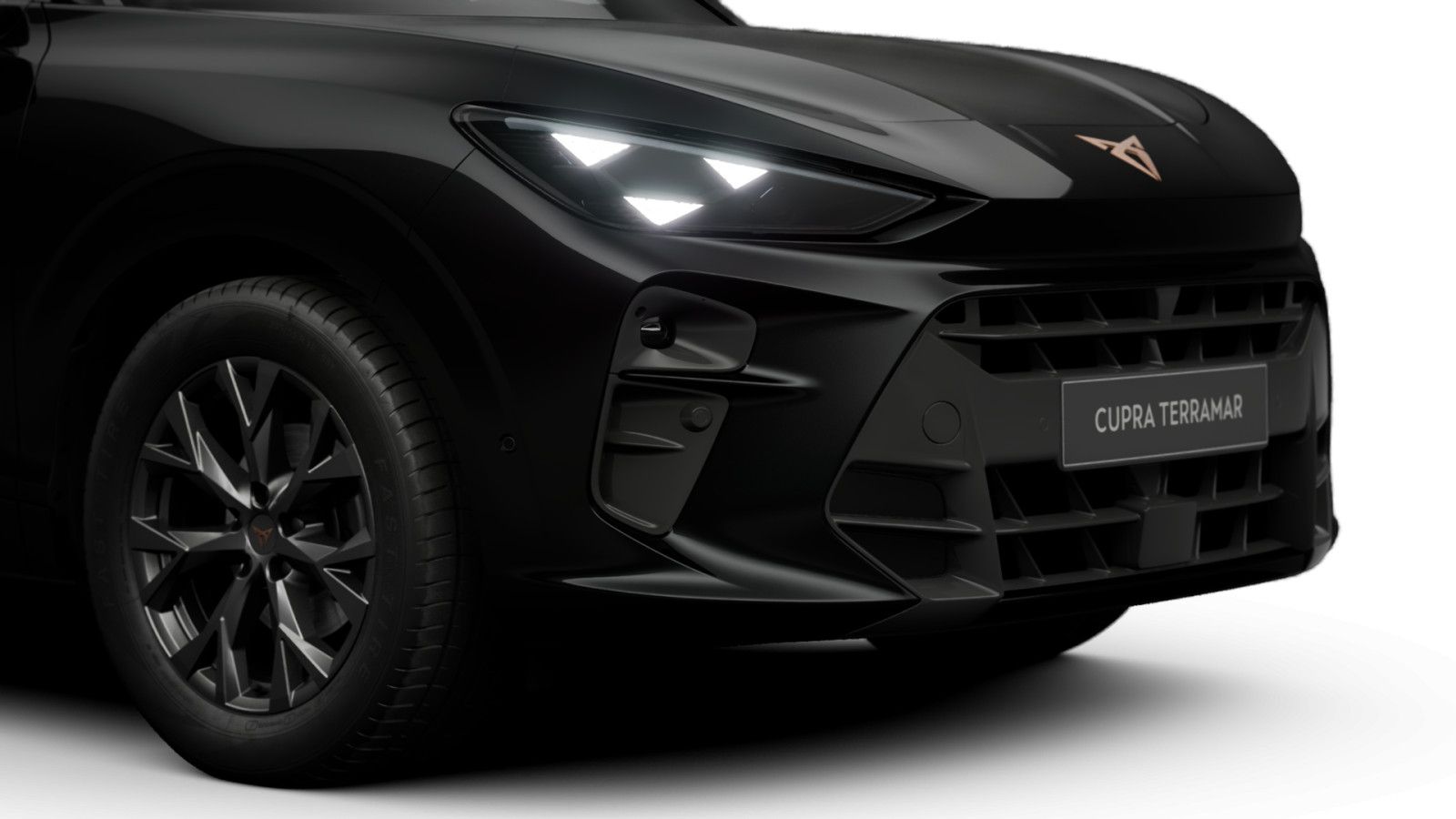 Cupra Terramar - Bild 8