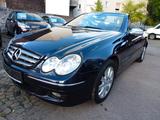 Mercedes-Benz CLK 200  Cabrio Kompressor Automatik - Mercedes-Benz: Cabrio, Cl