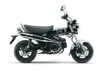 Honda Dax 125 - 9,4 PS  *Aktion* - Offers