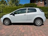 Fiat Punto 1.2 51 kW/69 PS, TÜV + Zahnriemen neu  - Fiat Punto in Mönchengladbach