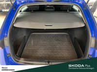 Skoda Octavia - Vorschau Bild 10