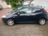Fiat Punto 1 Hand - Fiat Punto in Hamm