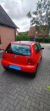Volkswagen Lupo 1.4 Basis Basis - Volkswagen Lupo: Rot