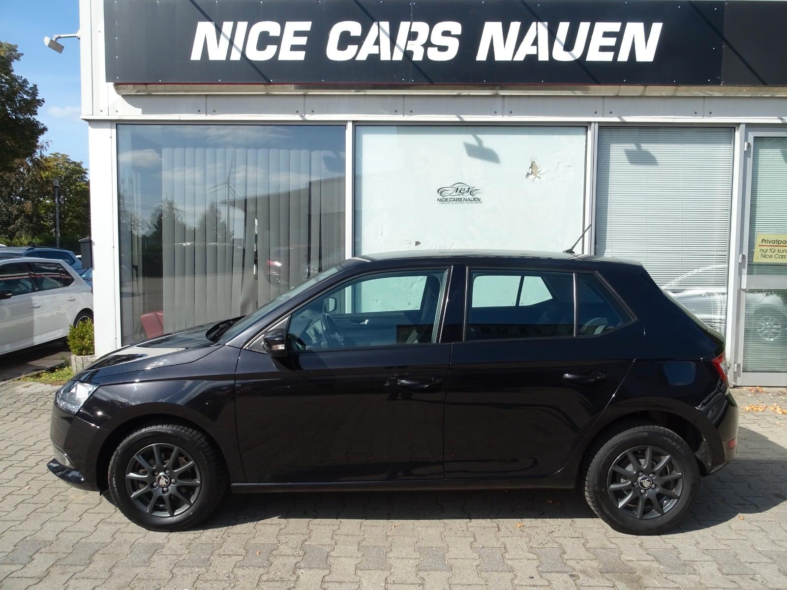 Skoda Fabia Ambition *SMART LINK*R.KAMERA*A/C*TEMPOMAT