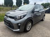 Kia Picanto 1.2 Dream-Team KAMERA *GARANTIE * S-HEFT - Kia Picanto mit Benzin-Antrieb: Grau