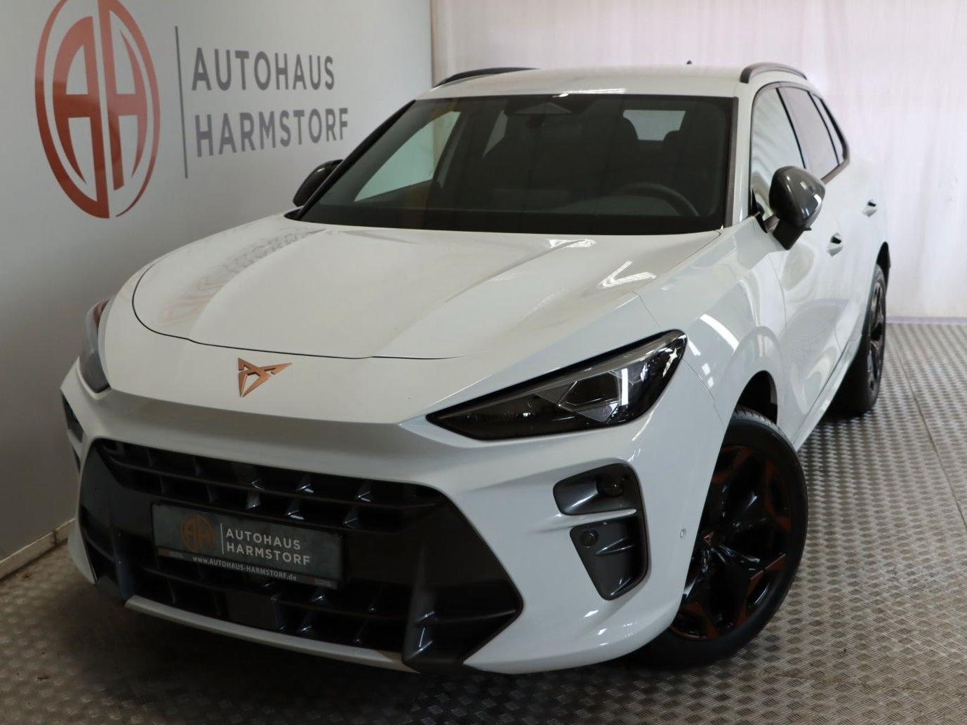 Cupra Terramar 1.5 eTSI AHK 360Grad HeadUP DCC