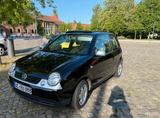 Volkswagen VW Lupo, Faltdach - Volkswagen Lupo: Faltdach