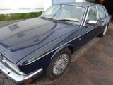 Jaguar XJ40 Oldtimer mit Gutachten - Jaguar aus 1993
