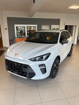Cupra Terramar 1.5 eTSI 110 kW, Navi, HeadUp, AHK - Cupra Terramar Tageszulassungen