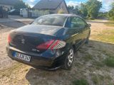 Peugeot 307 CC Tendance + großer Service - Peugeot 307 aus 2006: 307cc