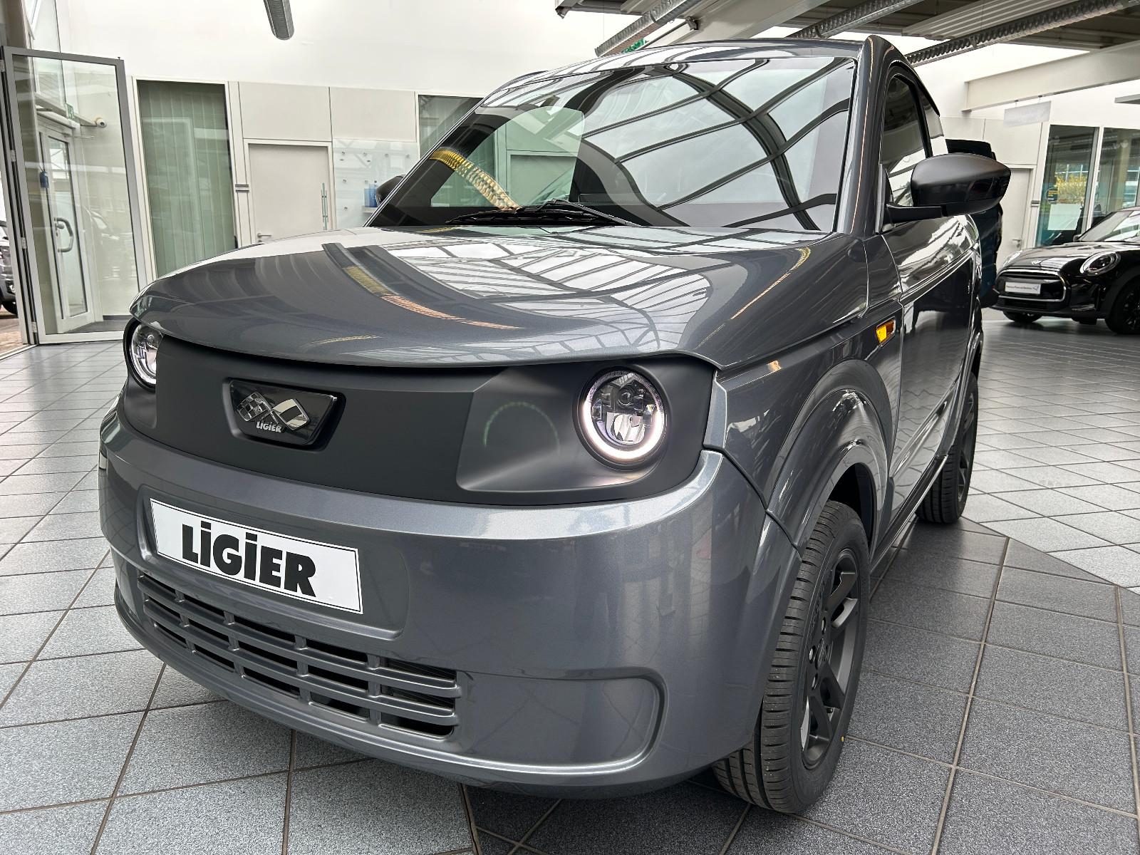 Ligier MYLI MAX E5+, CarPlay, Multimedia, Kamera, Servo