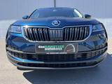 Skoda Karoq 1.5 TSI DSG Clever Navi RFK 4xSHZ LR-Hzg F - blaue Skoda Karoq