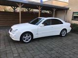 Mercedes-Benz E 500 ELEGANCE Elegance - gebrauchte Mercedes-Benz E-Klasse aus dem Jahr 2003