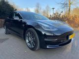 Tesla Model 3 LONG RANGE AWD 75KWH 351PK/BETA/LEER/PAN - Gebrauchtwagen in Leer