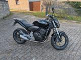 Honda CB600F Hornet (PC41) | Nur 18.450 km - HONDA CB 450 K