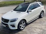 Mercedes-Benz ML 350 BlueTEC 4MATIC - - Mercedes-Benz ML 350 Gebrauchtwagen in Stuttgart