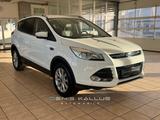 Ford Kuga 1.5 EcoBoost Titanium 4x2 /AHK/ TOP ! - Ford Kuga: Titanium