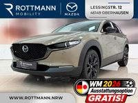 Mazda CX-30 - Vorschau Bild 1