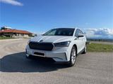 Skoda Enyaq iV80 Suite (Family Paket) Mwst. ausweisbar - Skoda Enyaq von privat