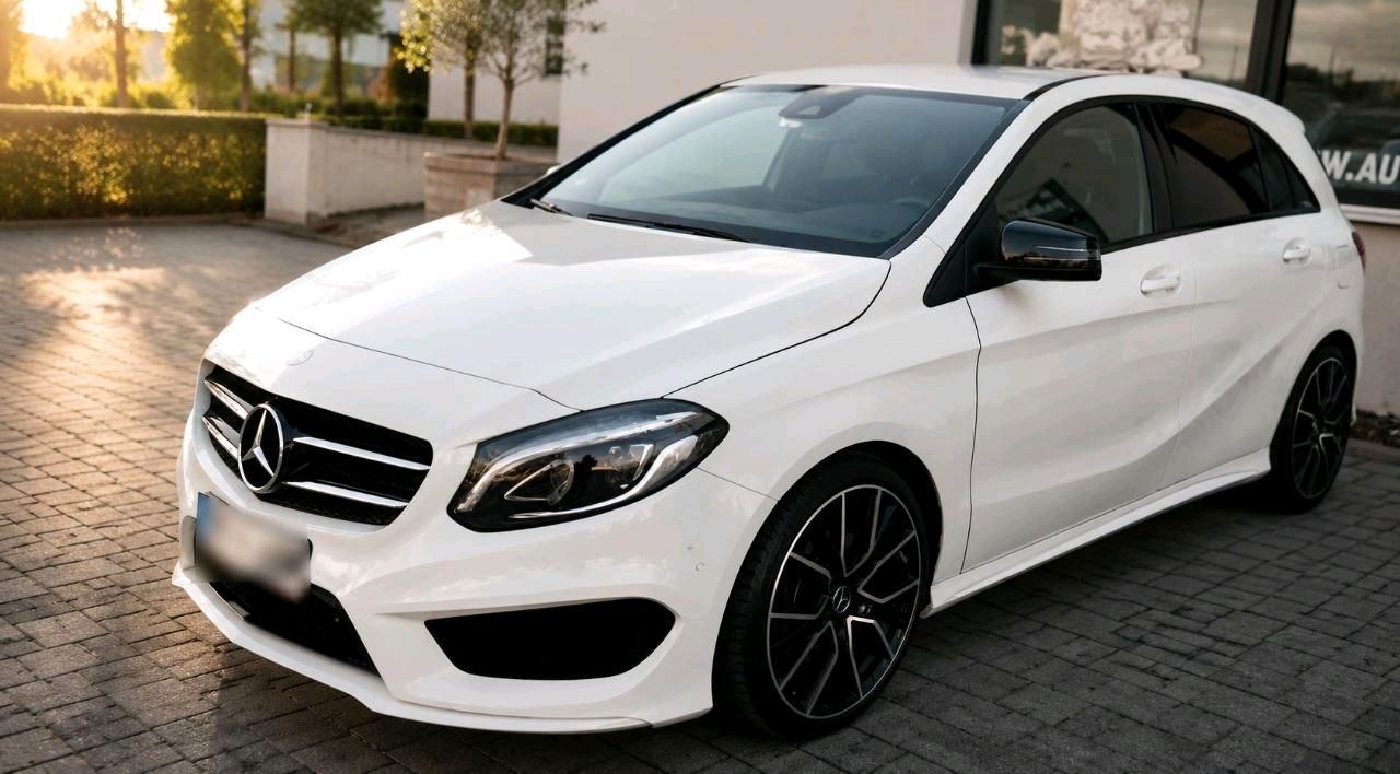 MERCEDES-BENZ Mercedes-Benz B220 4- Matic