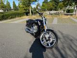 Harley-Davidson V-Rod Muscle VRSCF | 7.509 km |  - CHOPPER 50