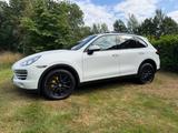 Porsche Cayenne Diesel - - Porsche Cayenne: Weiß