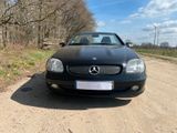Mercedes-Benz SLK 230 KOMPRESSOR - - Mercedes-Benz SLK 230