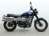 Triumph Scrambler 900| TÜV NEU| wenig KM - Offers