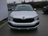 Skoda Kamiq Selection 1.0 TSI DSG*PDC*SHZ*SMARTLINK*MA - Skoda Tageszulassungen