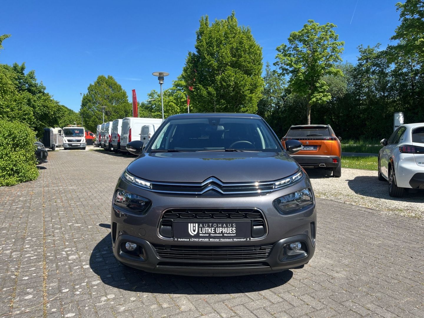 Fahrzeugabbildung Citroën C4 Cactus Feel e-THP PT 110 1.2 Navi DAB SHZ