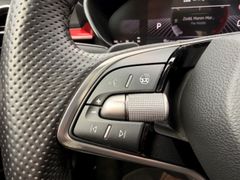 SKODA Fabia Monte Carlo behz.Lenkr PANO LED Kamera PDC