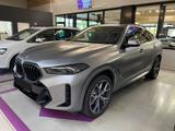 BMW X6 xDrive30d M Sport FROZEN PURE GREY, Iconic