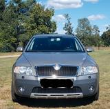 Skoda Octavia Combi 2.0 TDI PD DPF 4x4 Scout Scout - Skoda Octavia aus 2008: Scout