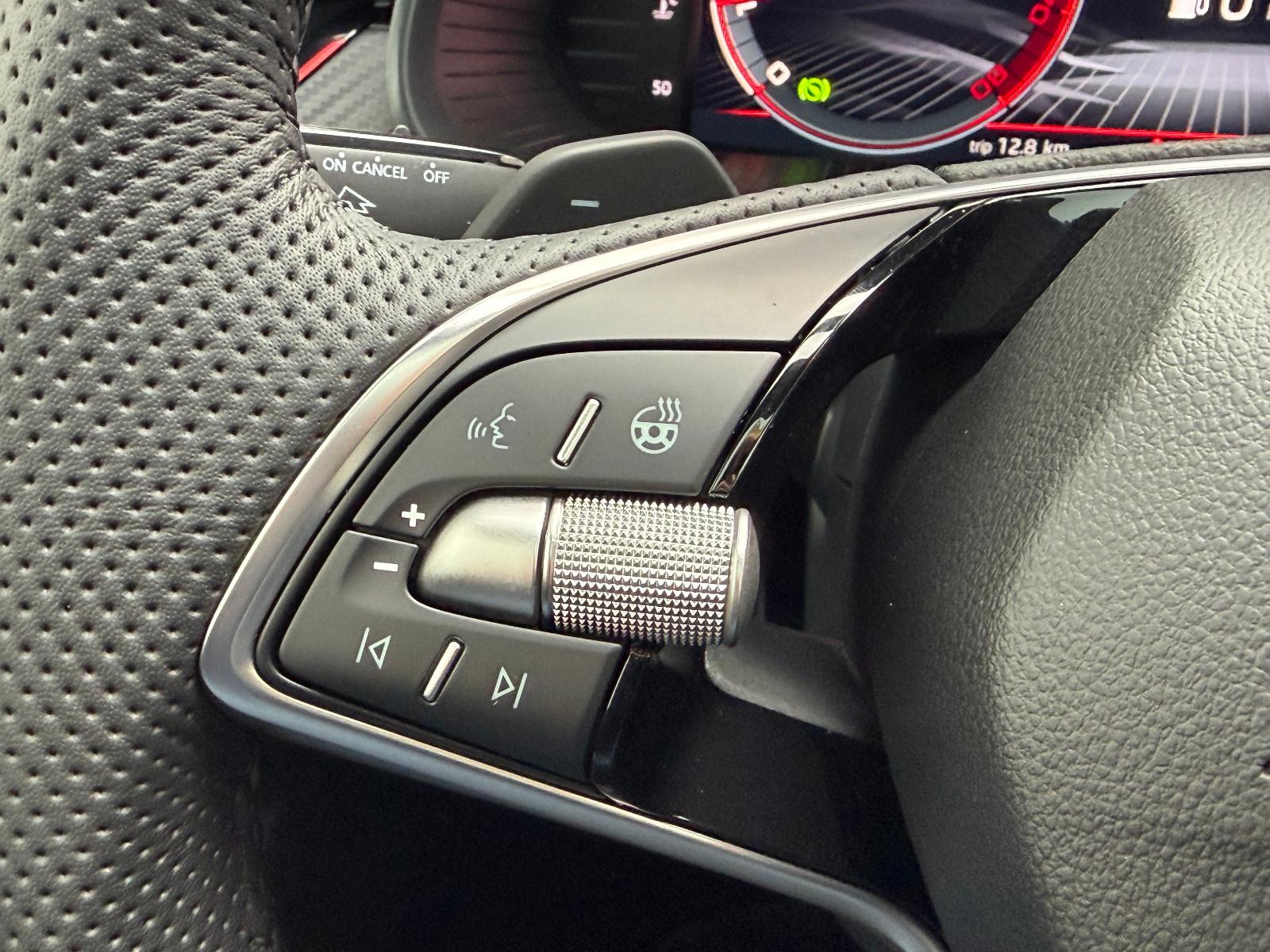 Skoda Kamiq 1.0 TSI DSG Monte Carlo (Pano,AHK,5/100)