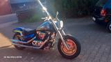 Suzuki VL 1500 Intruder Custom Cruiser - SUZUKI INTRUDER C 1500