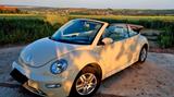 Volkswagen Beetle Cabrio  - Volkswagen mit Benzin-Antrieb: Beige, Cabrio
