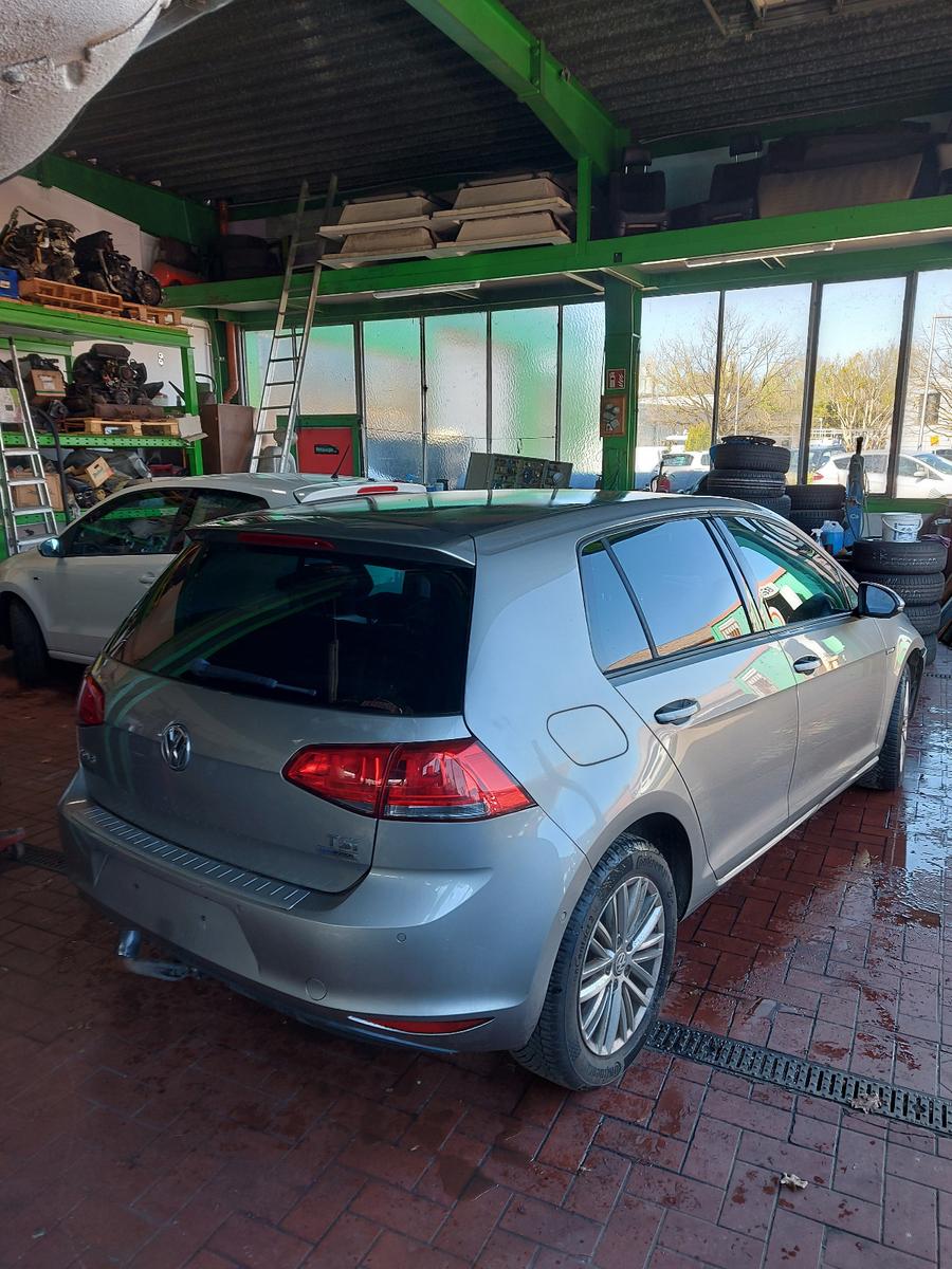 Volkswagen Golf VII Lim. Cup BMT