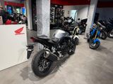 Honda CB750 Hornet 2025 Digital Silver *sofort verfüg* - Offers matching your search criteria