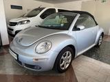 Volkswagen New Beetle Cabrio 1.6 Freestyle Tempo el Verdeck - Volkswagen: Cabrio, Verdeck