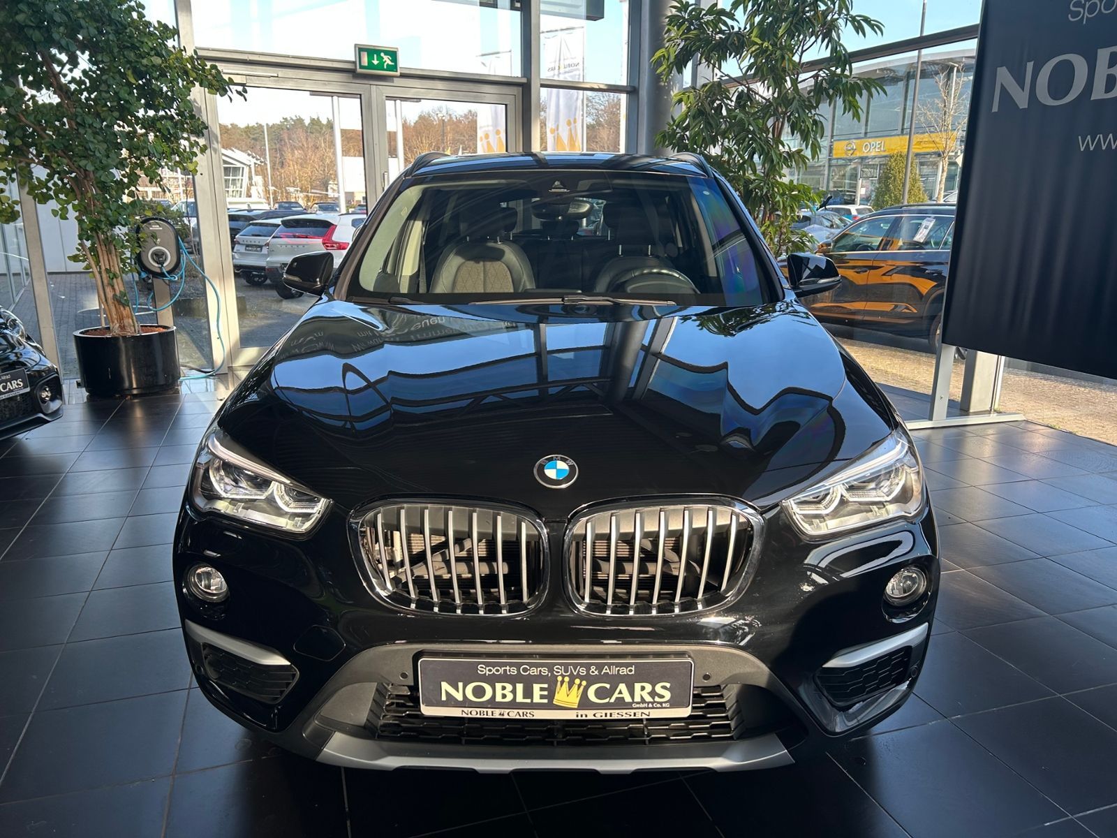Fahrzeugabbildung BMW X1 sDrive 20 i xLine PANO AHK LED NAVI