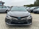 Toyota Camry 2.5 Ltr. Hybrid Luxury*Leder - Toyota Camry: 2.5