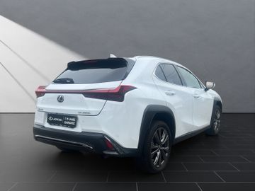Lexus UX - 5