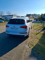 Audi Q5 3.0 TDI S tronic quattro - - Audi Q5: 3.0