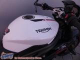 Triumph Speed Triple 1050 RS Mod 2019 Auspuff Kennz.halt - SPEED TRIPLE