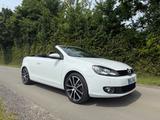 Volkswagen Golf 2.0 TDI DSG Cabriolet 8 Fach bereift - Volkswagen Golf mit Diesel-Antrieb: Cabrio, Automatik